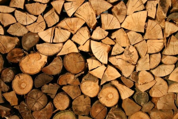 Firewood bundles 