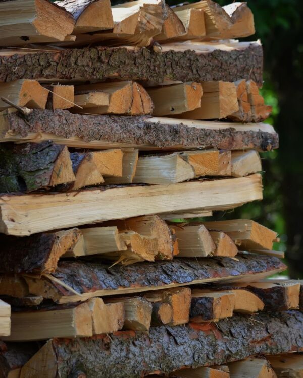 Cherry, Apple, Oak, Alder & Maple  a bundle
